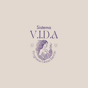 Metodo V.I.D.A