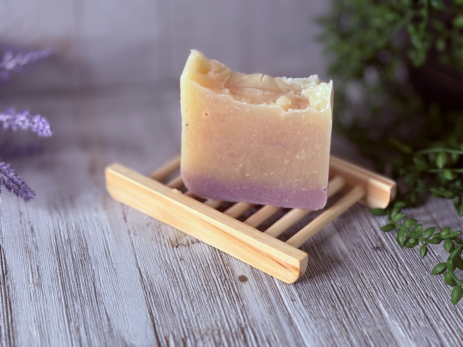 Lavanda
